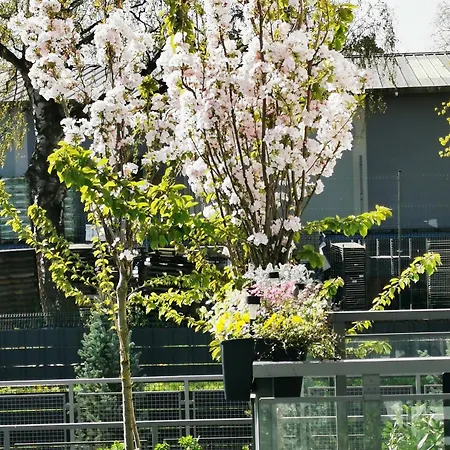 Fajne Miejsce Świnoujście