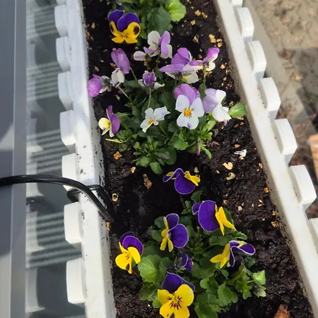 Apartment Fajne Miejsce