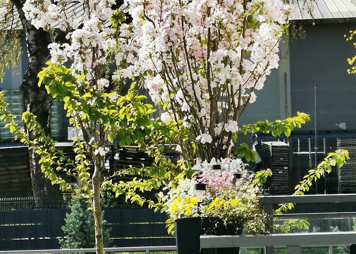 Fajne Miejsce Świnoujście