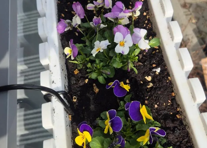 Apartamento Fajne Miejsce